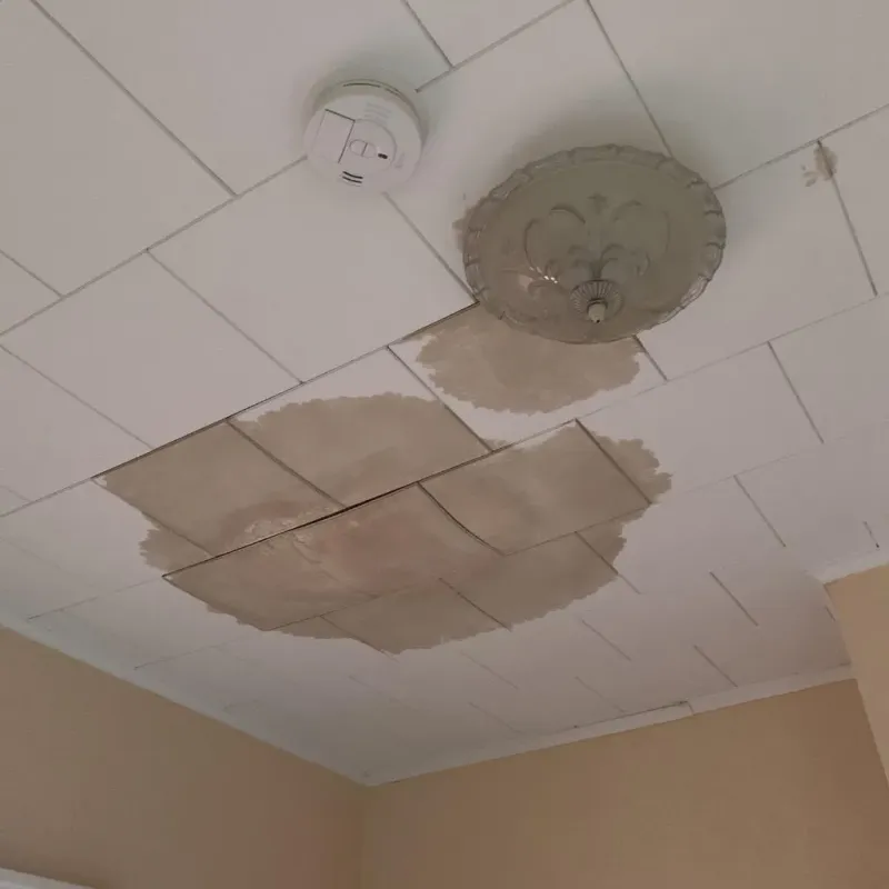 Ceiling Water Damage Repair in New Johnsonville, TN