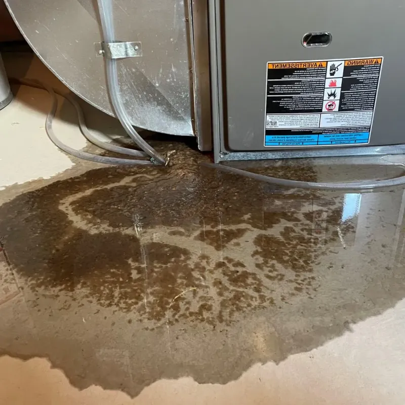 Pipe Burst and Leak Restoration in New Johnsonville, TN
