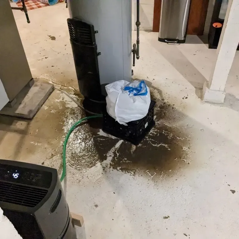 Sewage Backup Cleanup Service in New Johnsonville, TN